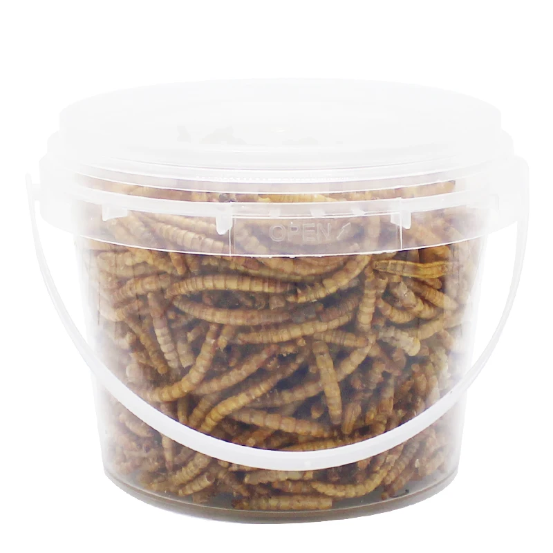 250g High-Protein Mealworms for Wild Bird ,Chicken, Ducks,Fish,Reptile, Tortoise , Amphibian,Lizard