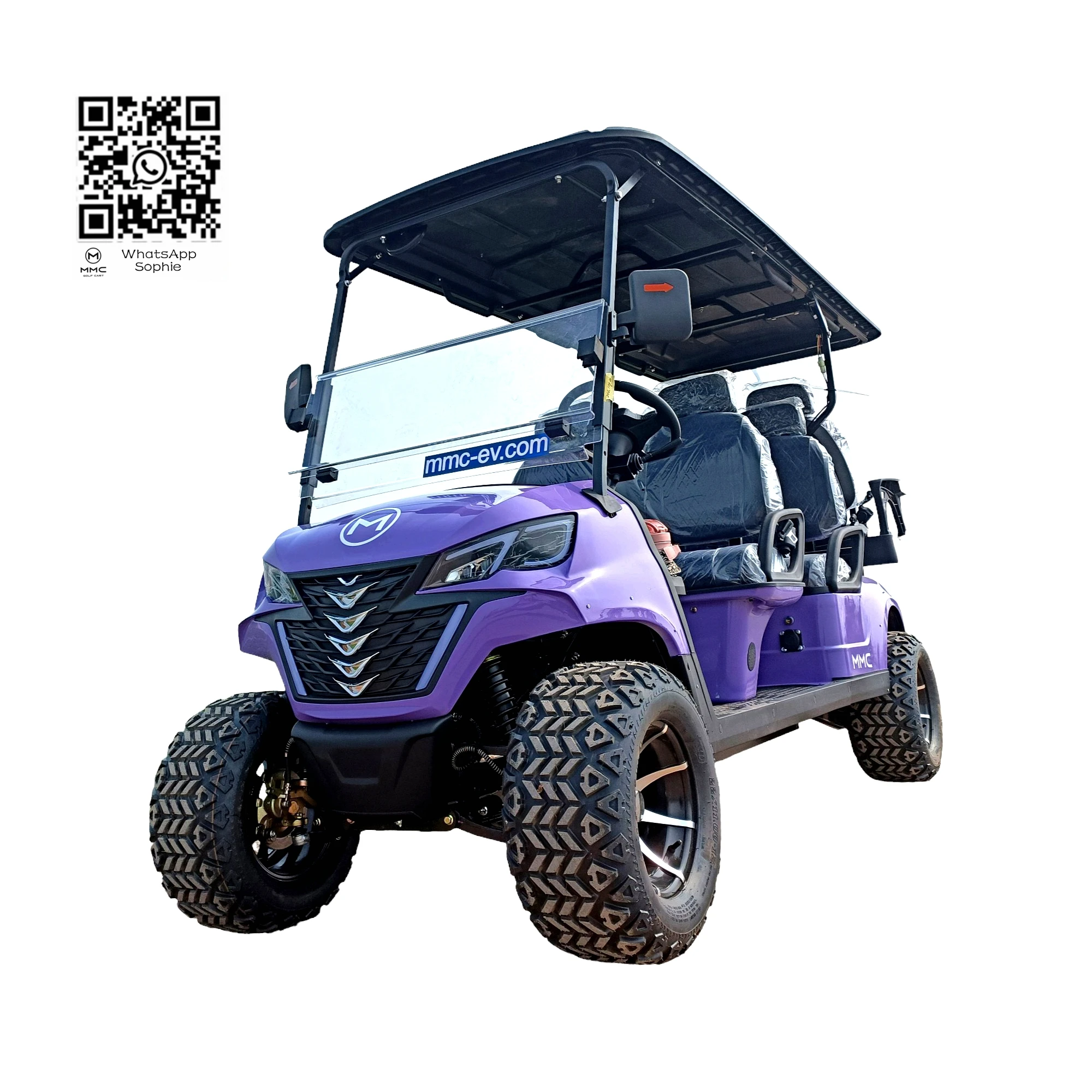무료 컬러 로고 맞춤형 전기 가솔린 리프트 골프 카트, 가솔린 4x4 오프로드 골프 버기, 2 4 6 8 10 좌석