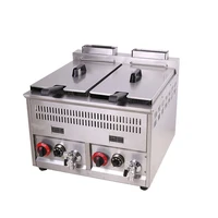 Commercial lpg gas chicken chips frying machine restaurant deep fryers for sale 1