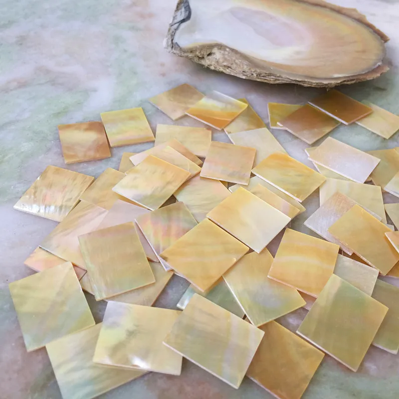 Natural Shell Ornaments 10Pieces 25mm /20mm/1mm Natural Mother of Pearl Shell Slice DIY Musical Instrument Accessories And Crafts Inlay Carved Material