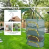 Hanging Mesh Drying Rack Folding Food Drying Net Multifunctional Drying Net for Clothes Toys Herbs Vegetables Fruits Fish Plants 4