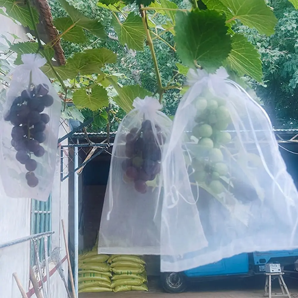 100개 메쉬 포도 재배용 가방 통기성 일반 식물 재배 가방 백색 포도 보호 커버 해충 방제 및 새 방지용