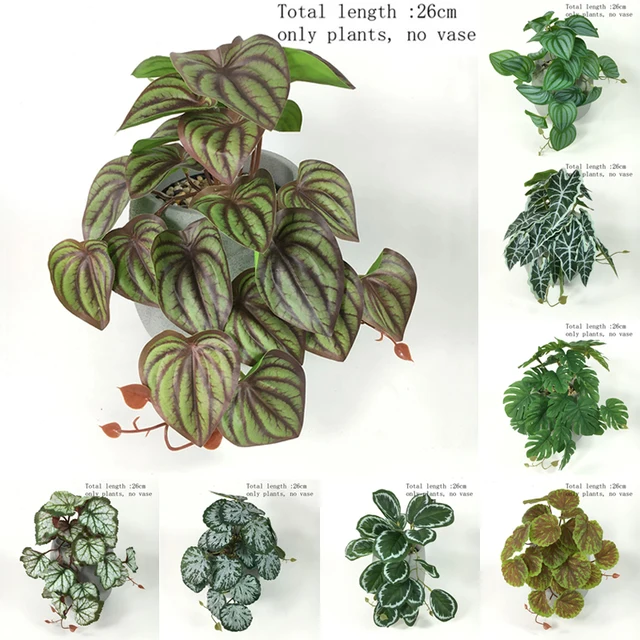 26 Cm -Es Zöld Fű Cserepes Mesterséges Növények Szőlő Páva Teknős Hátsó Levél Begonia Fal Lógó Kapor