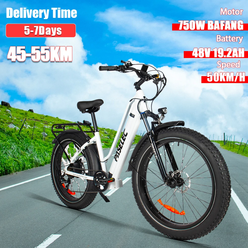 

750W BAFANG Motor, 19.2AH Detachable Battery, 26 Inch Fat Tires, Hydraulic Brakes, Male and Female Urban Road Electric Bicycles