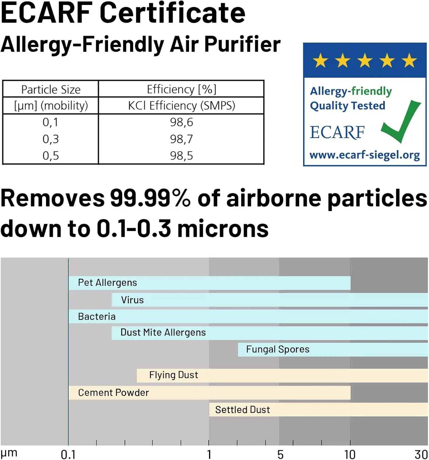 13 & Activated Carbon Filters, Air Cleaner Remove Dust Pollen Smoke All 3