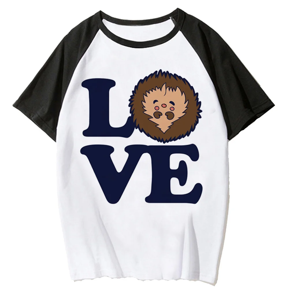 

Женские футболки с ежиком, японская забавная комиксная футболка, уличная одежда для девушек