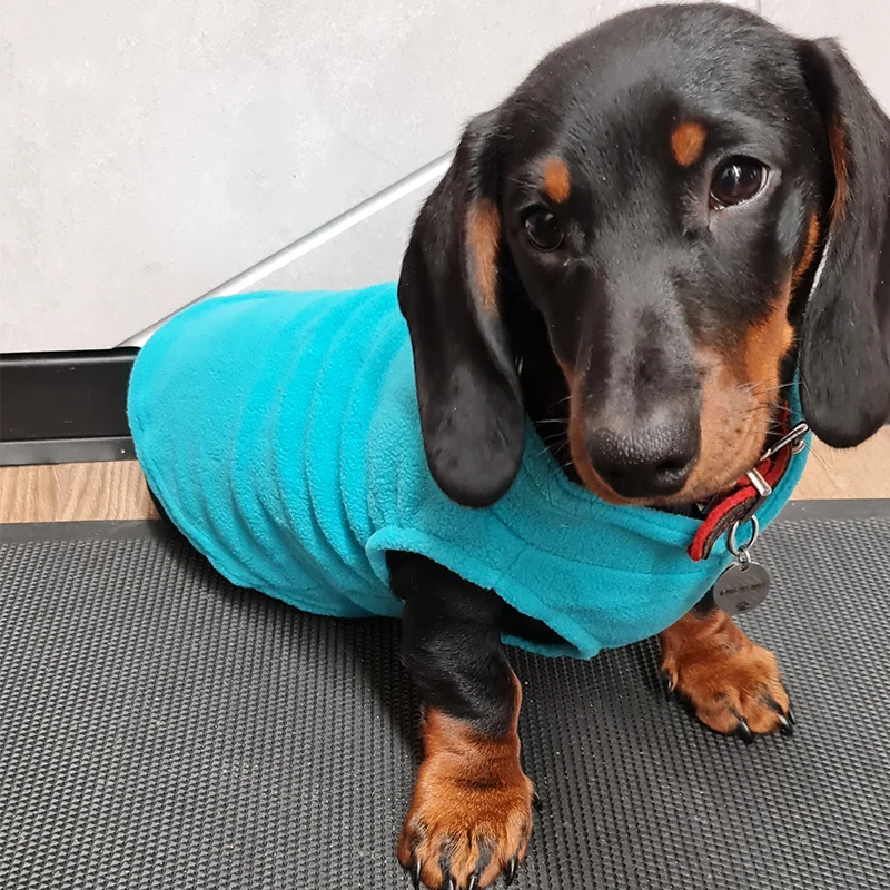 Dog Fleece Vest Winter Clothing For Small Medium Dogs Chihuahua Dachshund Bulldog Pitbull Maltese pet clothes