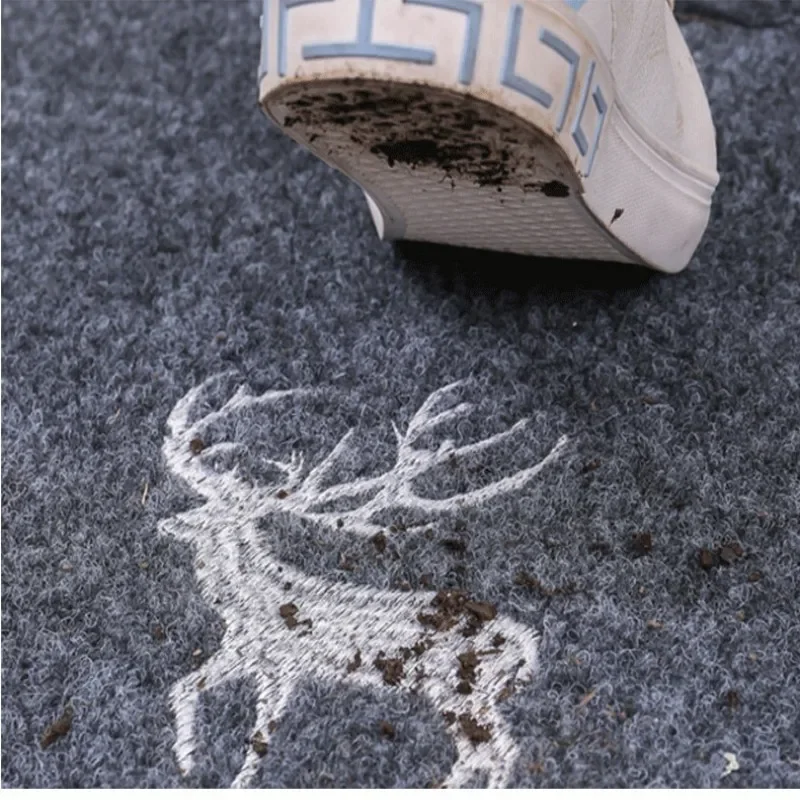 Non Slip Welcome Doormats for Home and Kitchen