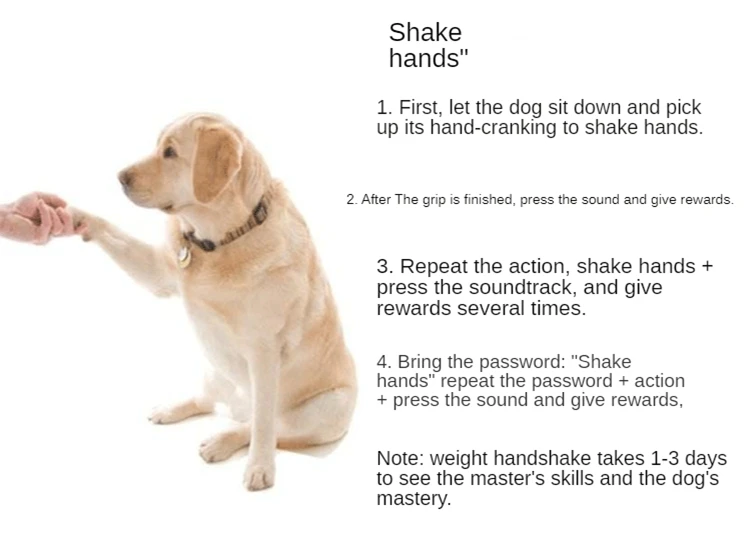 Dog Cat Pet  Training Clicker With Wrist Strap Training Supplies For Dogs Cats Pet Training Clicker Dog Supplies Dog Trainings