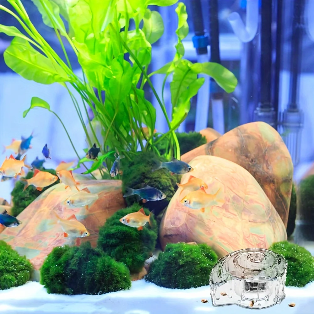 1Pc Schnecke Werkzeug Aquarium Schnecke Falle Schnecke Box Mit Angelschnur Für Aquarium Aquarium, Erfassen Kleine Schnecken, kleine Schnecken – Detail 11