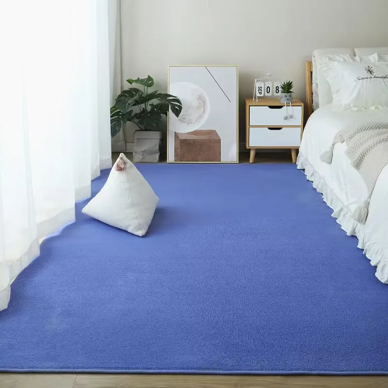 

New Large Fluffy Nordic Coral Velvet Rug Carpets for Living Room Soft Home Decor Bedroom Kid Room Plush Decoration Salon Carpet