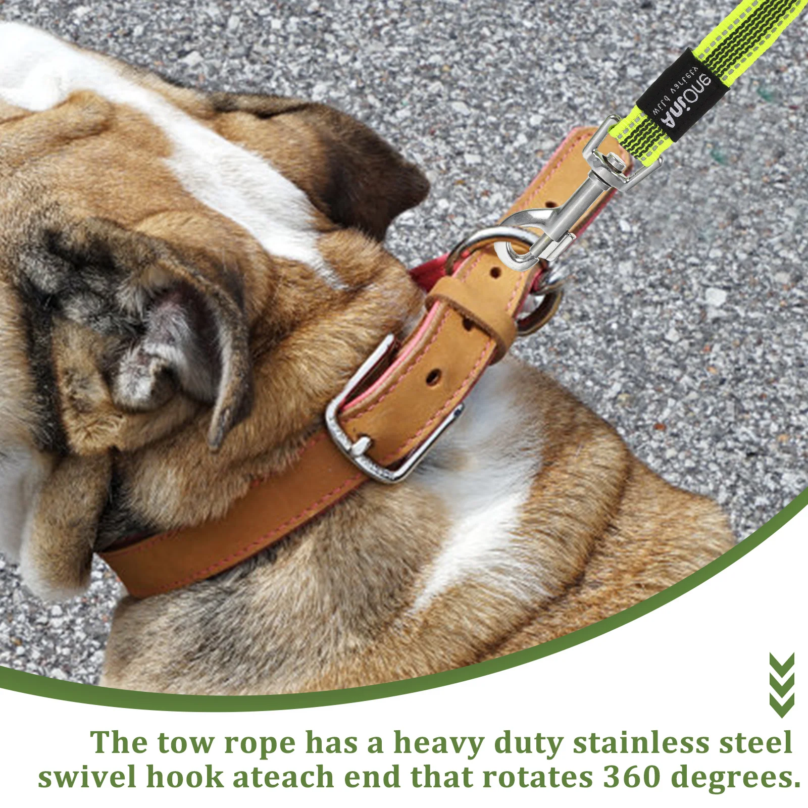 Are Tie Outs Bad For Dogs