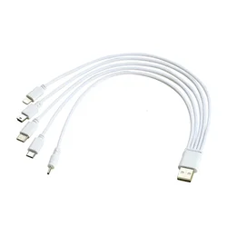Universal 5 - in - 1 Multi - Device Charging Cable with USB, Type C, Micro, and Mini Connectors for Phones, Earphones, Speakers, and More (5 in 1 Cable)