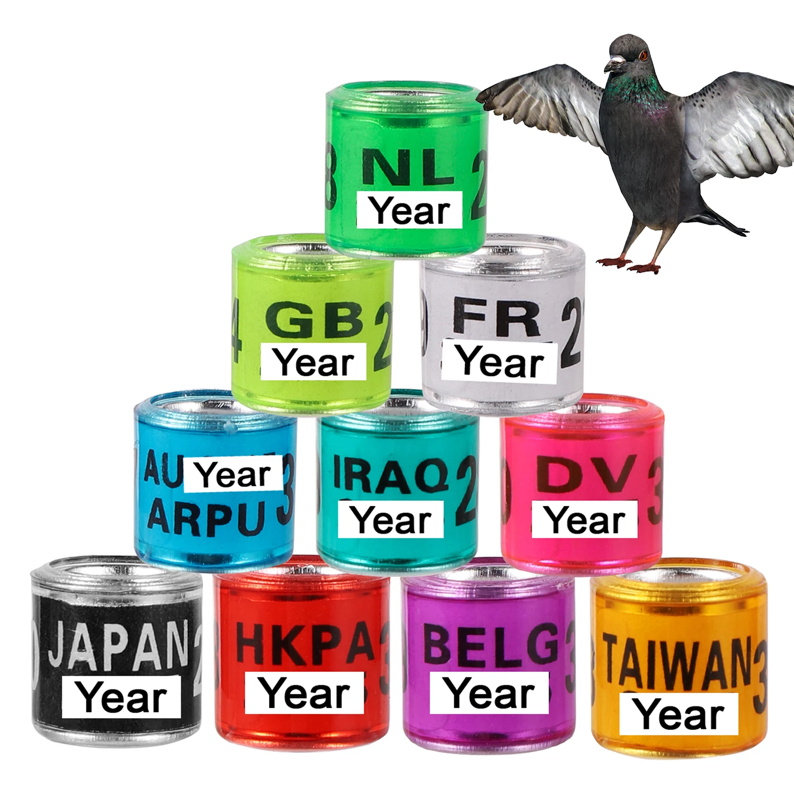 100個 2025/2026年 マルチカラー 鳩の足リング 番号付き 鳥 鳩