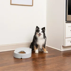 cat pet dog feeder automatic food bowl 