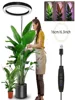 165cm Height Adjustable LED Ring Grow Lights Indoor Plants Full Spectrum Large Plant Light for Indoor Plants USB Growing Lamp 5