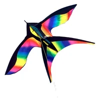 1.7m Easy to Fly Colorful Rainbow Bird Kite Outdoor Fun Sports Beach Triangle Kite Beginners Kids Adults Outdoor Toys Kite Gifts 2