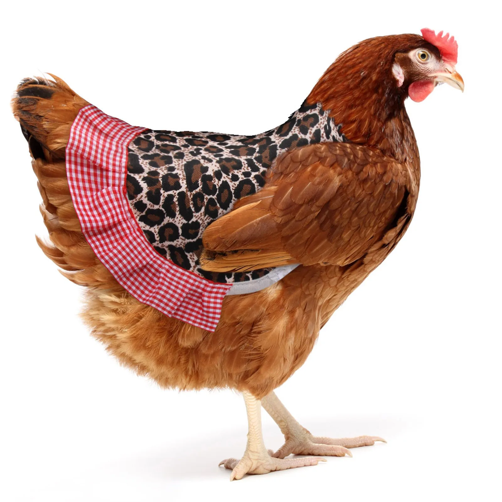 Selle De Poule, Gilet De Poulet Coloré Sans Danger Pour Animal De