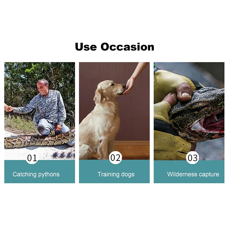 Reptile Anti-Bite Gloves 62Cm Pet Protection Gloves Snake Lizard Monitor Lizard Special Anti-Scratch and Bite Durable
