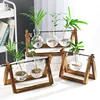 Terrarium Creative Hydroponic Plant Transparent Vase, Wooden Frame, Glass Tabletop, Bonsai Decor, Flower Vase 1