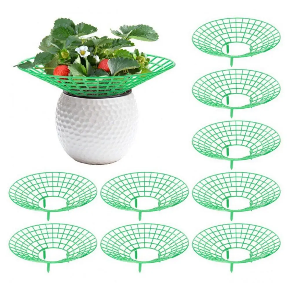 10Pcs Strawberry Plant Supports with 3 Sturdy Legs Strawberry Growing Racks Protector Frame Holder Cage From Mold Rot Dirt