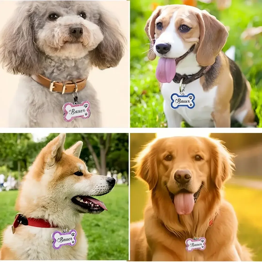 Pet ID Tags Dog ID Tag Personalized Gorgeous Small Medium Footprint Custom Name Tag Plate Collar Accessories