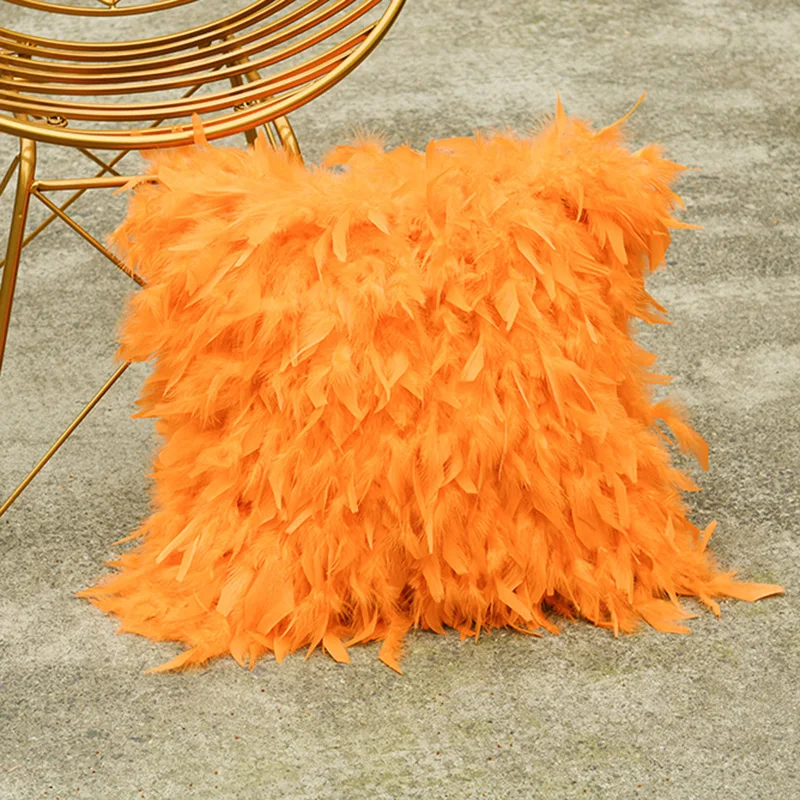 

2023 Beautiful decoration maison Pillowcase New Style Feathered Home Decoration Pillows For Sofa