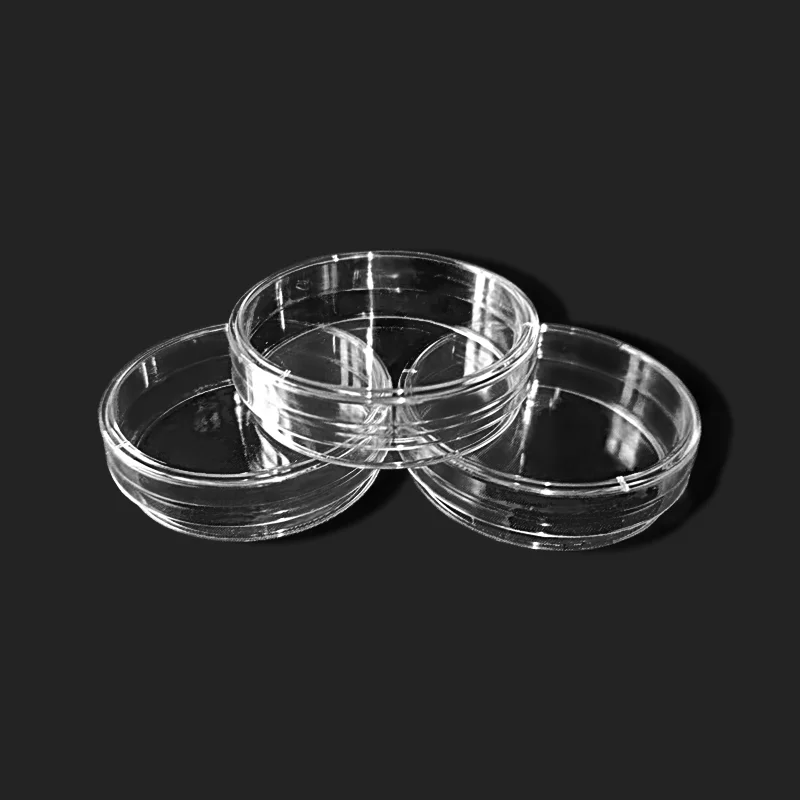 

10Pcs 60mm Clear Plastic Petri Dishes Cell Sterile Culture Dish Lab Supplies Feeder for Laboratory Medical Biological Scientific