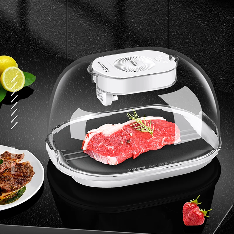 Kitchen Quick Thaw Machine Food Grade Aluminum Meat Steak Rapid  Preservation And Defrosting Tray Household Ice Melting Artifact - AliExpress