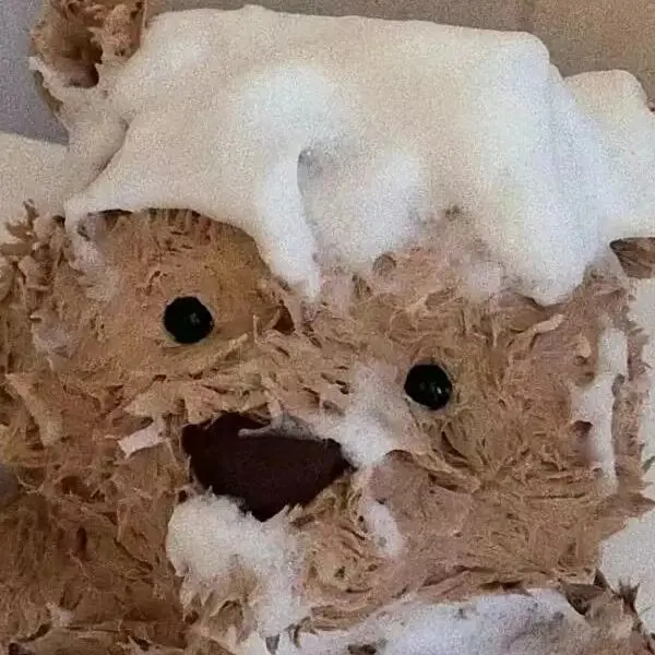 Shop1103937402 Store