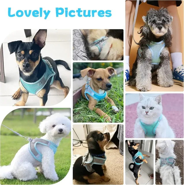 Breathable Pet Harness Escape-Proof Reflective Dog Harness for French Bulldog Harness Vest Puppy Pet Outdoor Walking Lead Leash 5