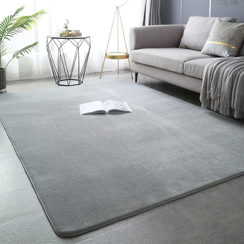 

Modern Minimalist Coral Velvet Carpet, Living Room, Coffee Table Carpet, Bedroom, Bedside, Covered with Rectangular Floor Mats