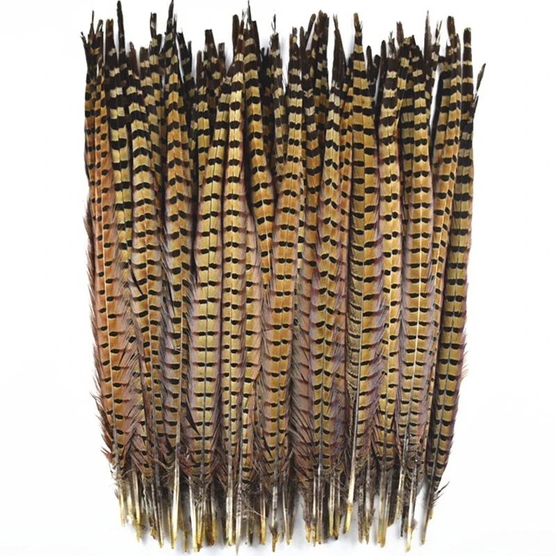 Plumas De Faisán Naturales - 10 Unidades De 25-30 Cm Para Manualidades, Disfraces Y Decoración