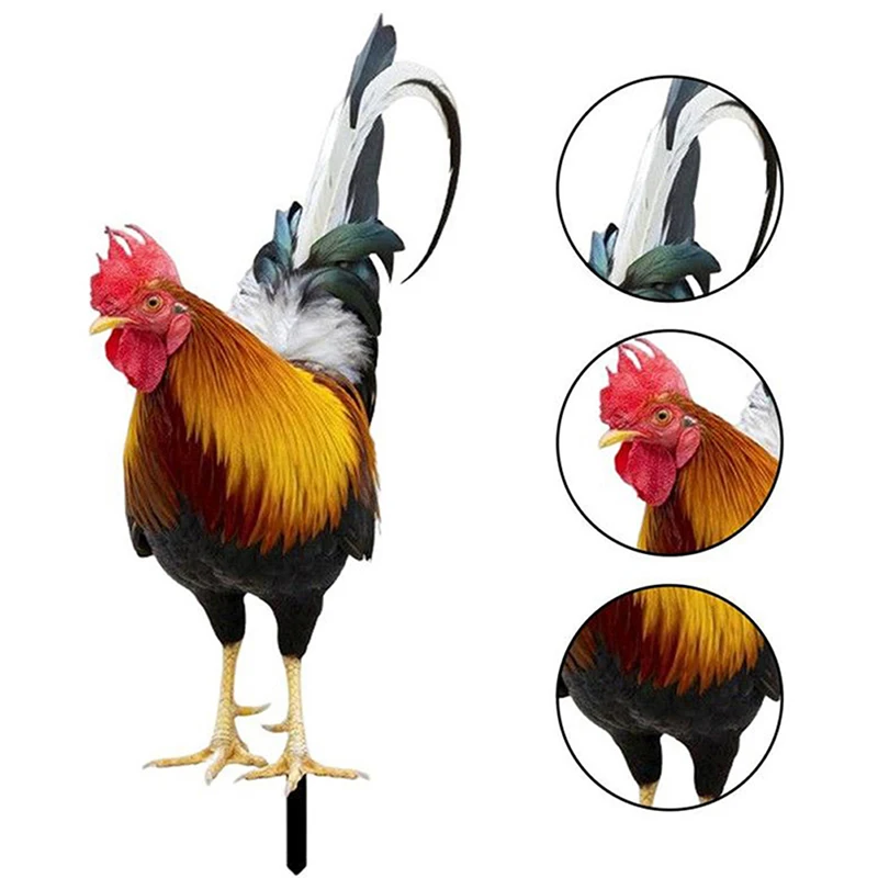 รูปสินค้า รูปปั้นไก่ตกแต่งสวน สวยทนแดดทนฝน