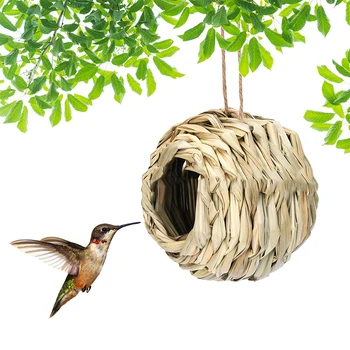 Natural Birds Nest Bird