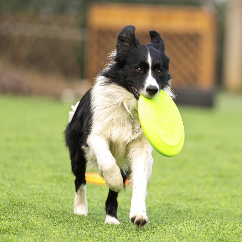 Kong Frisbee Small KONG Flyer Durable Dog Toy For Outdoor