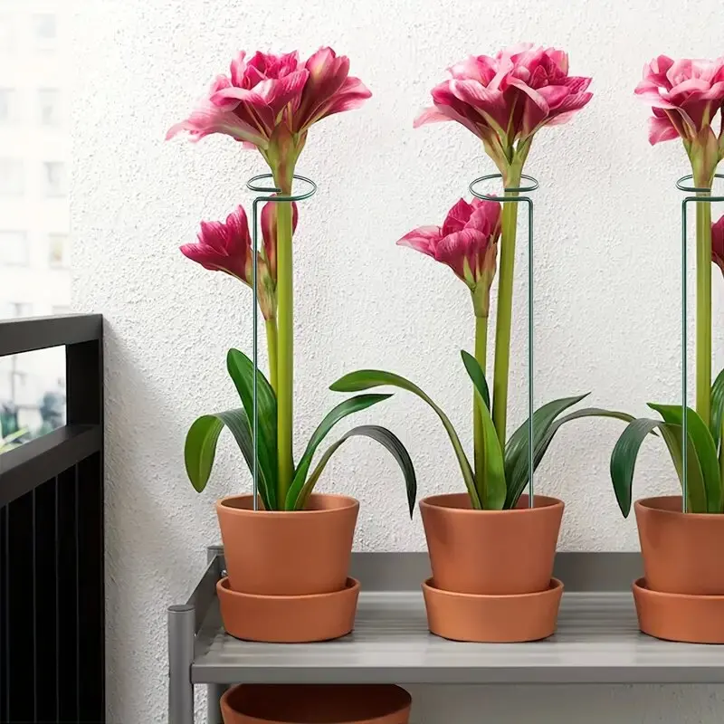 5pcs, 16inch Garden Plant Stakes Plant Support Structure, Garden Metal Single Stem Flower Support Stakes, Planting