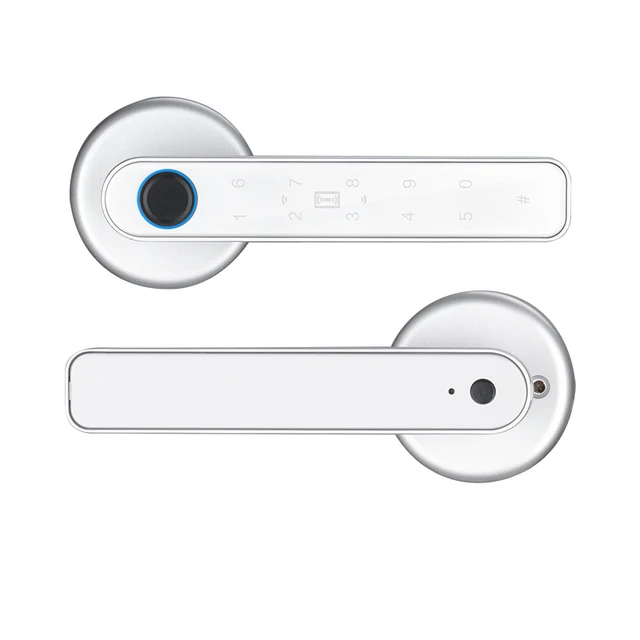 Password Handle Lock Biometric Fingerprint Password Key Unlock Anti Peeping Type-C Emergency Charge for Home Office Glass Doors 3