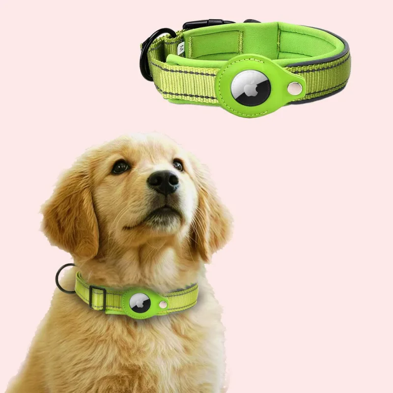 Light green For Dogs