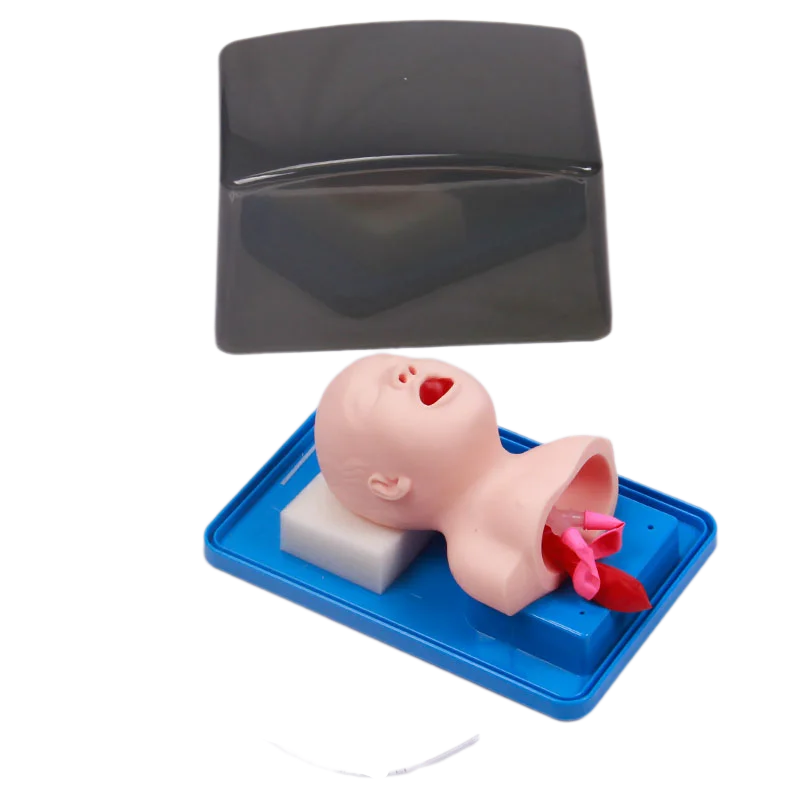 Neonatal Infant Tracheal Intubation Model Analog Double Lung and Stomach Expansion Child Tracheal Intubation Simulator neonatal tracheal intubation model