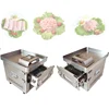 Commercial Meat Slicer Vegetable Cutting Machine Pork Lamb Beef Food Chopper Meat Grinder Dicing Machine 1