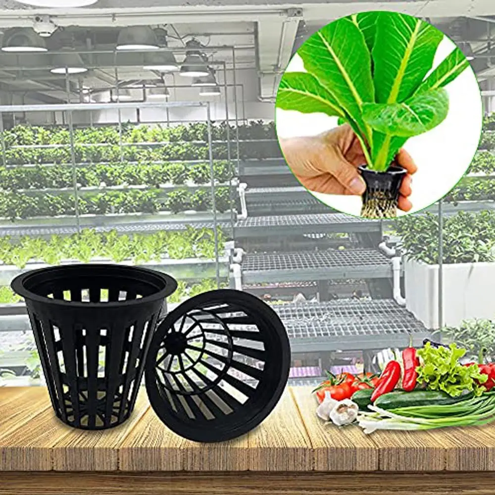 2 Inch Heavy Duty Net Pots Hydroponic Cups Garden Slotted Mesh Net Cups Plant Nursery Pots 50/100Pcs for Hydroponics