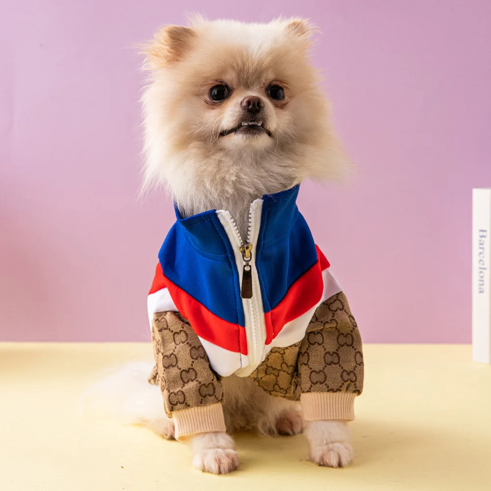 luxury dog clothing