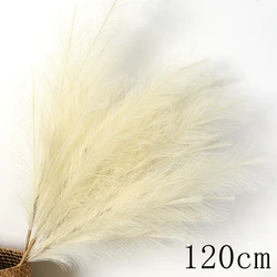 Elegant Faux Pampas Grass - Artificial Plume Grass Vase Decor, Everlasting Reeds Arrangement (Off white - 122cm)