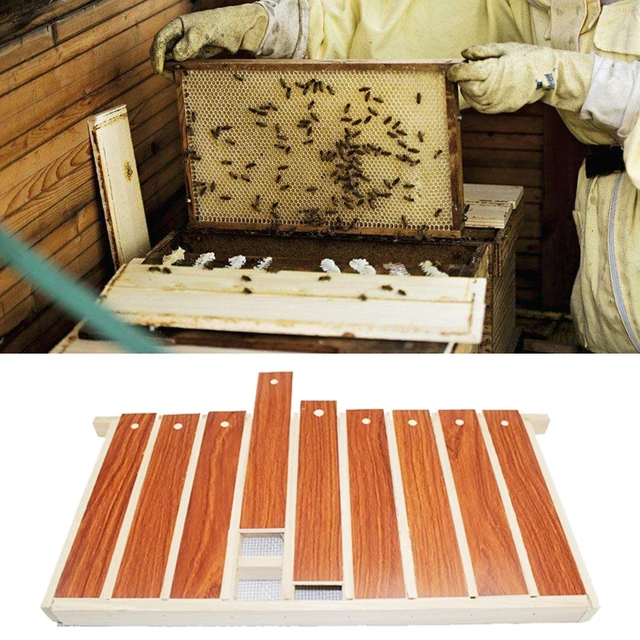 Wood Queen Bee Tárolóeszköz Méhtár Ketrec Keret Tenyésztő Dobozkészlet - Image 2