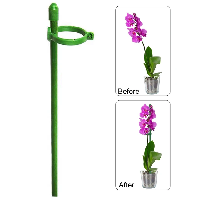 Növénytáblák Zöld Állítható Kerti Egy Szárú Növényi Tartó Tét Botok Gyűrűkkel Virágok Paradicsoma - Image 2
