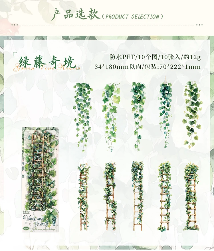 JIANQI 10 stücke INS Frische rebe thema PET Aufkleber Klebstoff Diy Scrapbooking Tagebuch Scrapbooking Collage material Scrapbooking – Detail 13