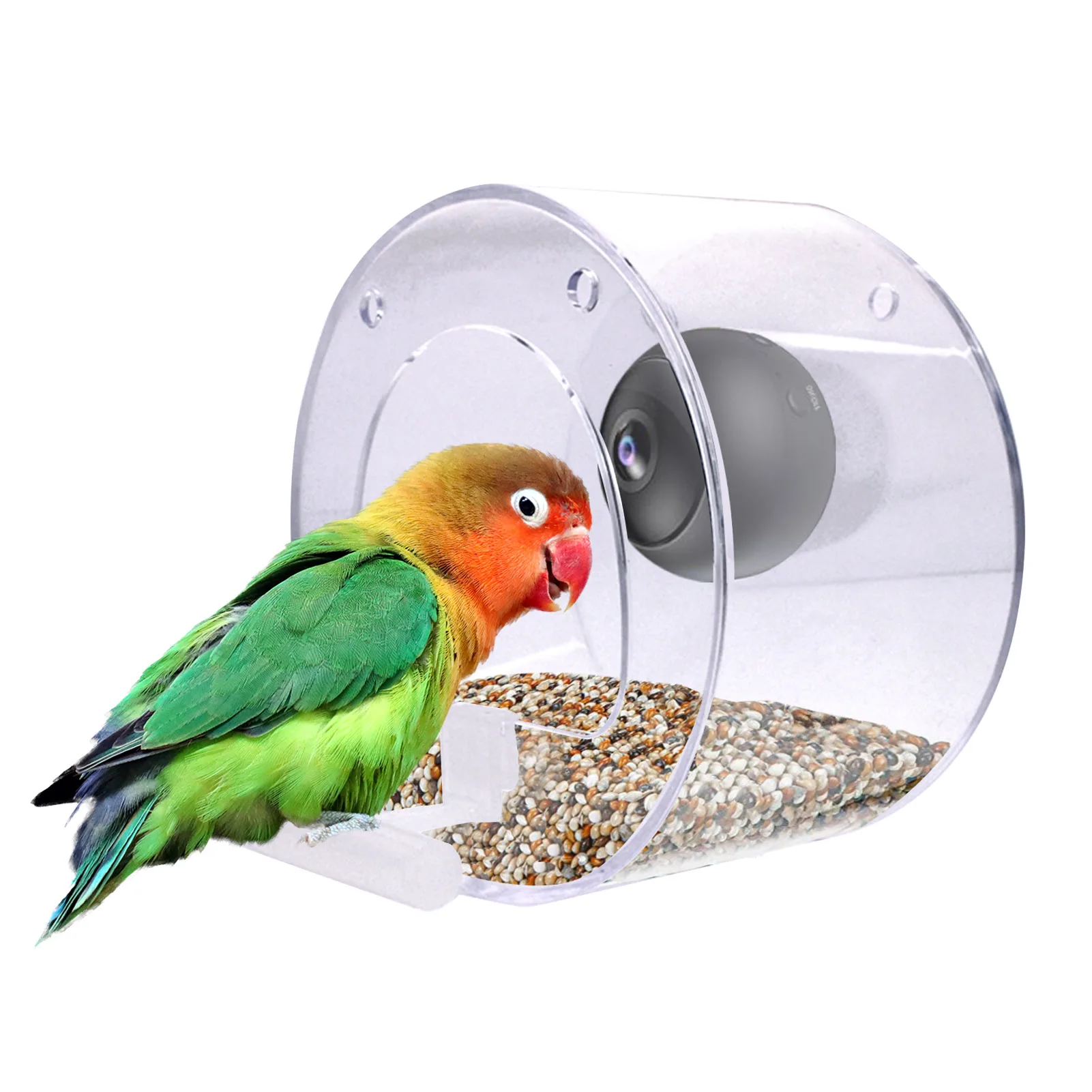 a bird feeding from the feeder with built in camera