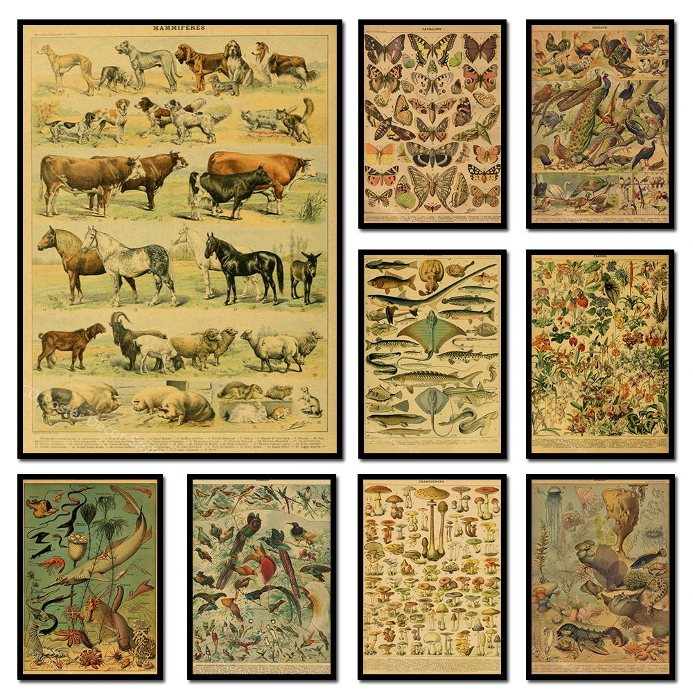 

New Butterfly Animal Mushroom Poster Plant Kraft Paper Vintage Home Room Bar Coffee Shop Decorative Art Wall Abstract Painting