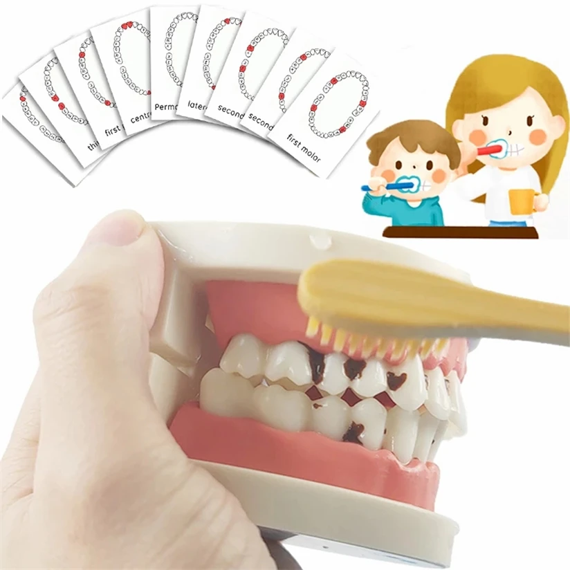 

Montessori Educational Toys Toddlers Montessori Toddler Practical Life Educational Learning Toys For Kids Toddlers C51W